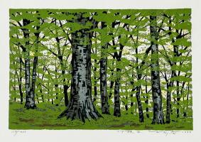 Beech Forest II by Fumio Fujita