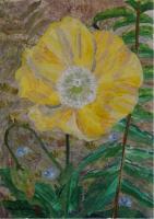 Yellow Poppy by Janet Hayakawa