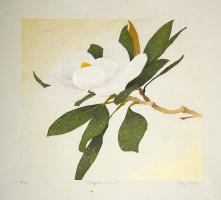 Magnolia - 3 by Kayoko Miyayama