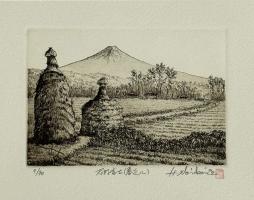 Fuji from Oshino (Spring Nearby) by Hiroto Norikane