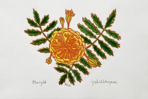 Marigold by Yoshi Nakagawa
