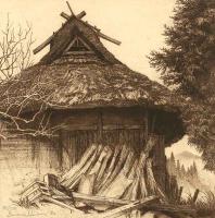 Miyama Thatch by Brian Williams