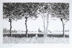 Trees in the Rice Field by Ryohei Tanaka