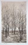 Trees on the Bank by Ryohei Tanaka