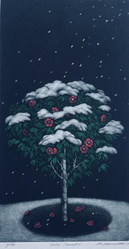 Cold Camellia by Katsunori Hamanishi