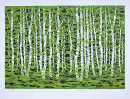 Forest of White Birch D by Fumio Fujita