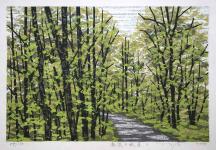 Path in the Forest with Dark Green B by Fumio Fujita