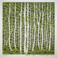 Forest of White Birch-Autumnal Colors by Fumio Fujita