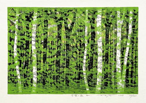 Forest of Fresh Leaves E by Fumio Fujita
