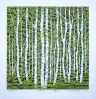 Forest of White Birch, Fragrance Wind by Fumio Fujita