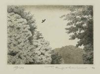 Soaring Birds No.2 by Ryohei Tanaka