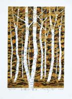 White Birch-Autumnal Leaves II by Fumio Fujita