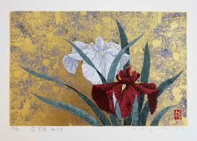 Iris No.156 by Kazutoshi Sugiura