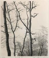 Winter Trees III by Shogo Okamoto