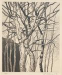 Trees in Early Spring by Shogo Okamoto