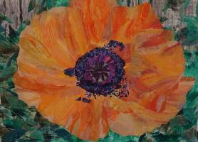 Orange Poppy by Janet Hayakawa
