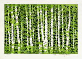 White Birch-i by Fumio Fujita