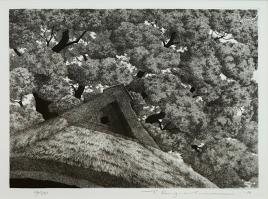 Big Tree No. 1 by Ryohei Tanaka