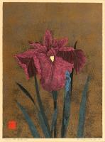 Hanashobu (Iris) No.5 by Kazutoshi Sugiura