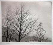 Scenery of Winter Tree by Ryohei Tanaka